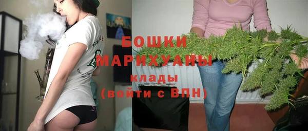 прущая мука Вяземский