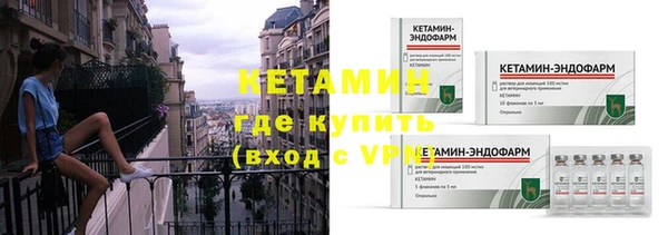 прущая мука Вяземский