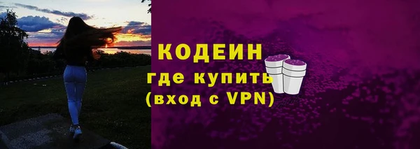 прущая мука Вяземский
