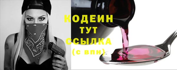 прущая мука Вяземский