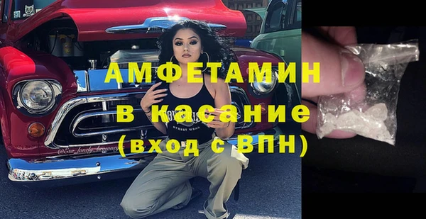 прущая мука Вяземский