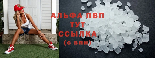 прущая мука Вяземский