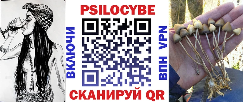 Псилоцибиновые грибы Cubensis  Знаменск 